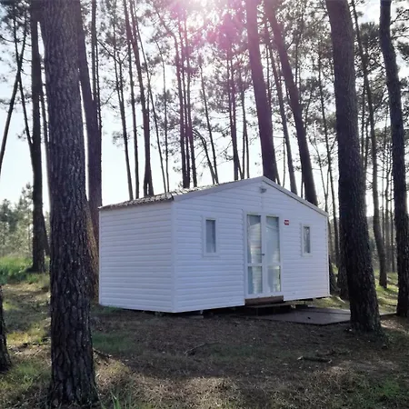 Parque De Campismo Orbitur Foz De Arelho. * Foz do Arelho