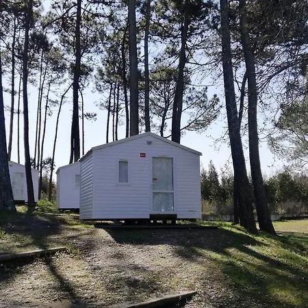 Кемпинг Parque De Campismo Orbitur Foz De Arelho. Фош-ду-Арелью