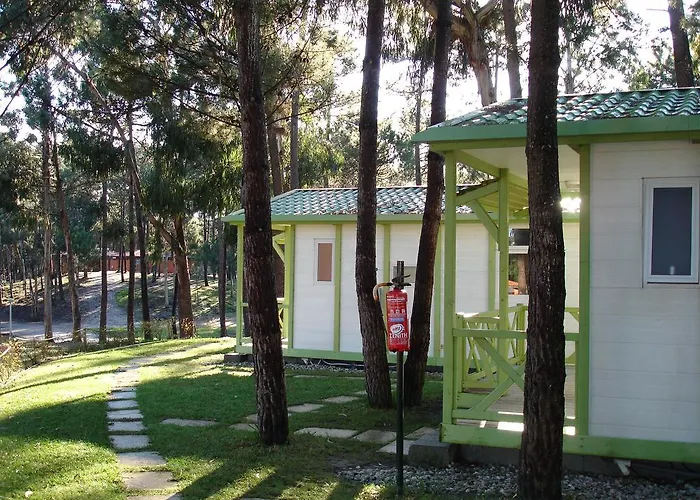 Parque De Campismo Orbitur Foz De Arelho. Kemp *
